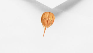 Personalized Horseshoe Crab Stationery Set / Stationary | Coastal Notecards | Beachy Gifts | Seaside Stationary | Nautical Gift