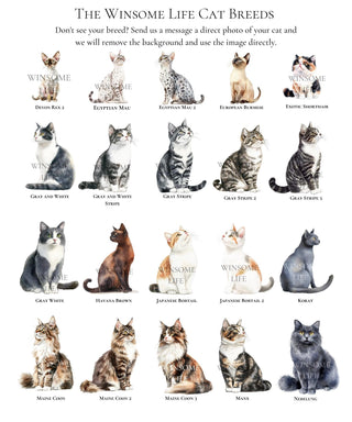 Personalized Valentine's Cat Gift Tags | Customize Your Cat Breed