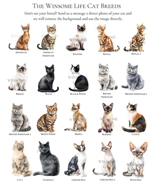 Personalized Valentine's Cat Gift Tags | Customize Your Cat Breed